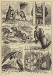 Lundi de Pâques au Jardin zoologique